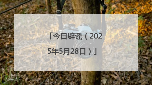 今日辟谣（2025年5月28日）
