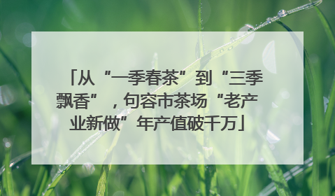 从“一季春茶”到“三季飘香”，句容市茶场“老产业新做”年产值破千万