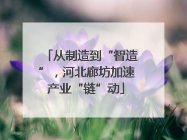 从制造到“智造”，河北廊坊加速产业“链”动
