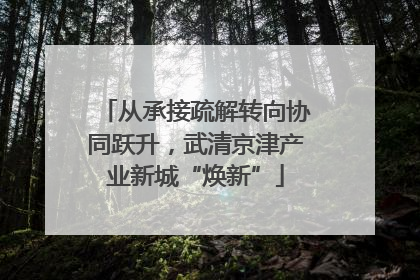 从承接疏解转向协同跃升，武清京津产业新城“焕新”