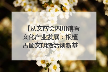从文博会四川馆看文化产业发展：根植古蜀文明激活创新基因｜文博向“新”