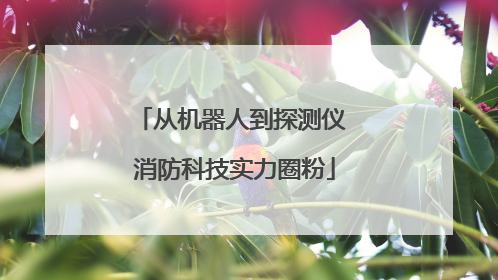 从机器人到探测仪 消防科技实力圈粉