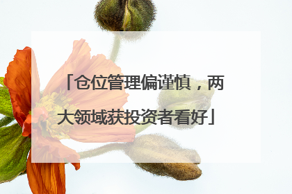 仓位管理偏谨慎，两大领域获投资者看好