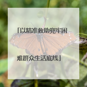 以精准救助兜牢困难群众生活底线