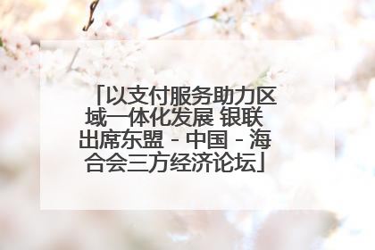 以支付服务助力区域一体化发展 银联出席东盟－中国－海合会三方经济论坛