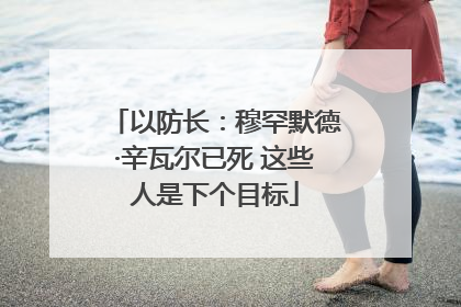 以防长：穆罕默德·辛瓦尔已死 这些人是下个目标