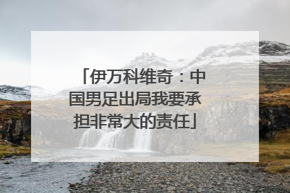 伊万科维奇：中国男足出局我要承担非常大的责任