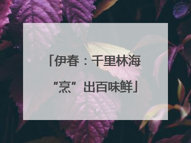 伊春：千里林海“烹”出百味鲜