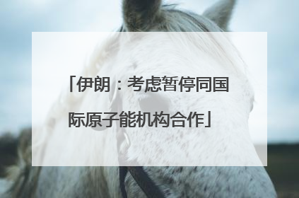 伊朗：考虑暂停同国际原子能机构合作