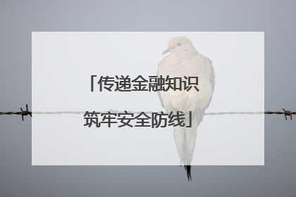 传递金融知识 筑牢安全防线