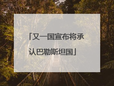 又一国宣布将承认巴勒斯坦国