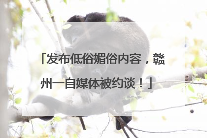 发布低俗媚俗内容，赣州一自媒体被约谈！