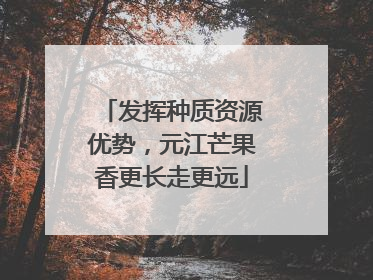 发挥种质资源优势，元江芒果香更长走更远