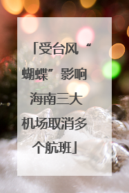 受台风“蝴蝶”影响 海南三大机场取消多个航班