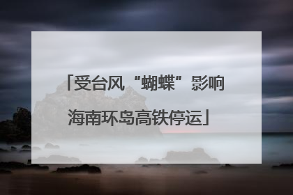 受台风“蝴蝶”影响 海南环岛高铁停运