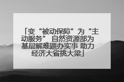 变“被动保障”为“主动服务” 自然资源部为基层解难题办实事 助力经济大省挑大梁
