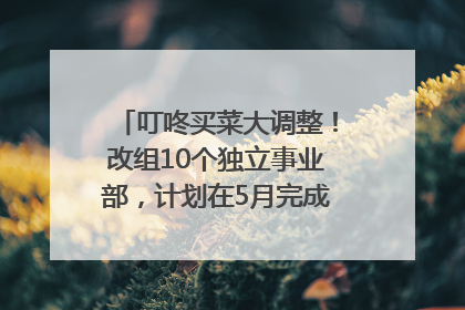 叮咚买菜大调整！改组10个独立事业部，计划在5月完成App端全面改版