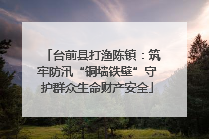 台前县打渔陈镇：筑牢防汛“铜墙铁壁”守护群众生命财产安全