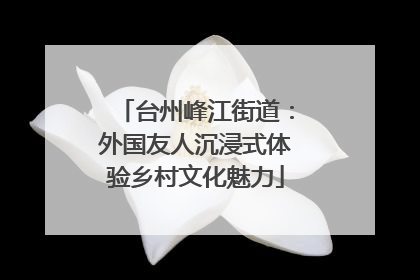 台州峰江街道：外国友人沉浸式体验乡村文化魅力
