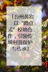 台州黄岩：以“蹲点式”校地合作，引领传统村落保护与传承