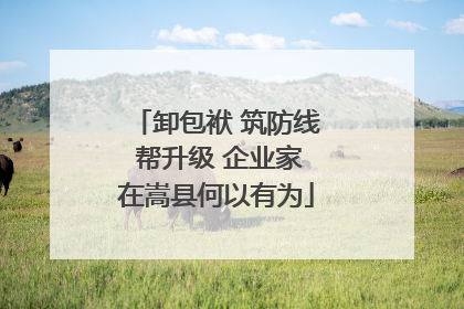 卸包袱 筑防线 帮升级 企业家在嵩县何以有为