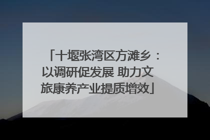 十堰张湾区方滩乡：以调研促发展 助力文旅康养产业提质增效