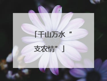 千山万水“支农情”
