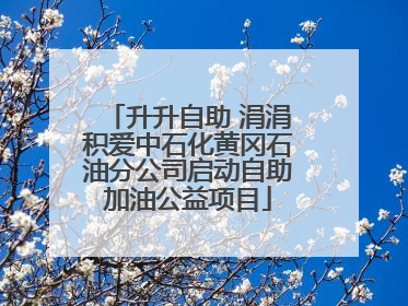 升升自助 涓涓积爱中石化黄冈石油分公司启动自助加油公益项目