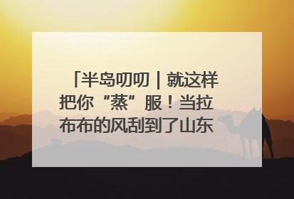 半岛叨叨｜就这样把你“蒸”服！当拉布布的风刮到了山东馒头界……
