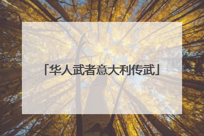 华人武者意大利传武