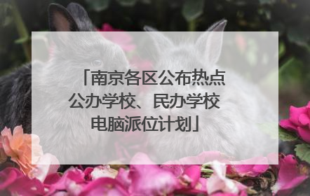 南京各区公布热点公办学校、民办学校电脑派位计划