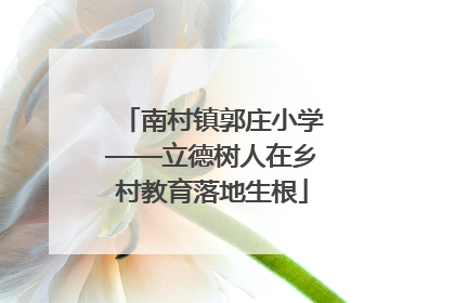 南村镇郭庄小学——立德树人在乡村教育落地生根