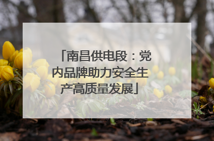 南昌供电段：党内品牌助力安全生产高质量发展