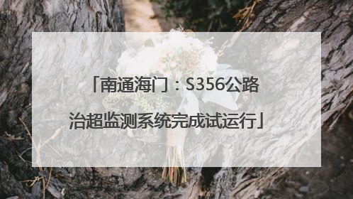 南通海门：S356公路治超监测系统完成试运行