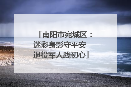 南阳市宛城区：迷彩身影守平安 退役军人践初心