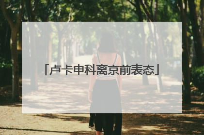 卢卡申科离京前表态