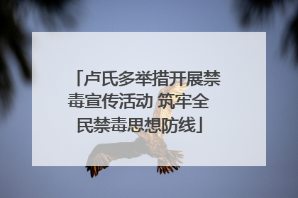 卢氏多举措开展禁毒宣传活动 筑牢全民禁毒思想防线