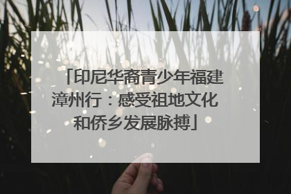 印尼华裔青少年福建漳州行：感受祖地文化和侨乡发展脉搏