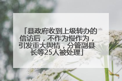 县政府收到上级转办的信访后，不作为慢作为，引发重大舆情，分管副县长等25人被处理