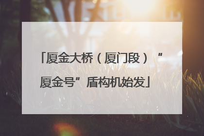厦金大桥（厦门段）“厦金号”盾构机始发