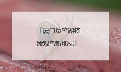 厦门筼筜湖将添观鸟新地标