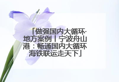 做强国内大循环·地方案例丨宁波舟山港：畅通国内大循环海铁联运走天下