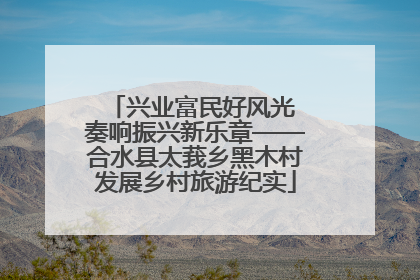 兴业富民好风光 奏响振兴新乐章——合水县太莪乡黑木村发展乡村旅游纪实