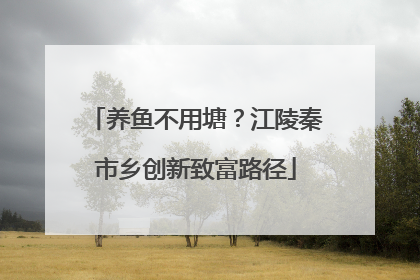 养鱼不用塘？江陵秦市乡创新致富路径
