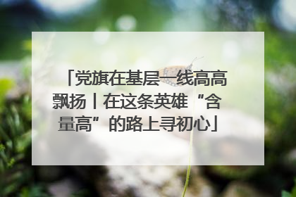 党旗在基层一线高高飘扬丨在这条英雄“含量高”的路上寻初心