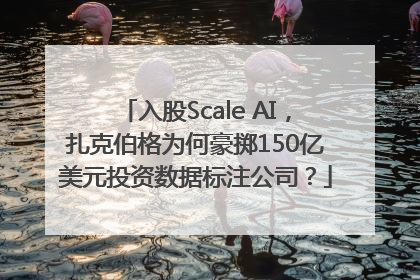 入股Scale AI，扎克伯格为何豪掷150亿美元投资数据标注公司？