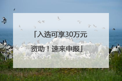 入选可享30万元资助！速来申报
