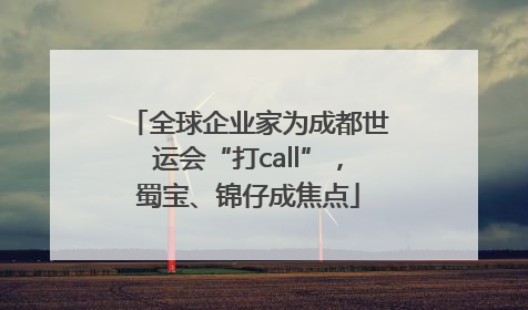全球企业家为成都世运会“打call”，蜀宝、锦仔成焦点