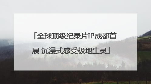 全球顶级纪录片IP成都首展 沉浸式感受极地生灵