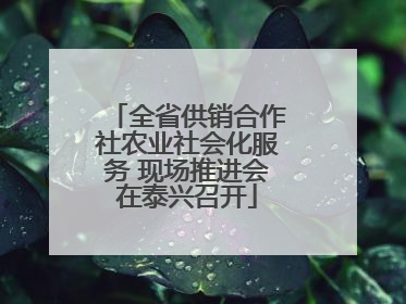 全省供销合作社农业社会化服务 现场推进会在泰兴召开